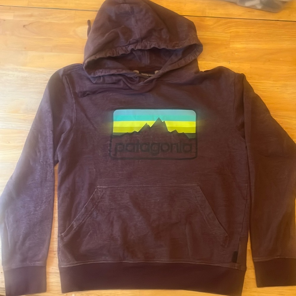 Patagonia Worn Wear Logo Hoodie